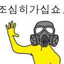금냥이 이미지
