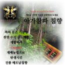 말렌 네이버블로그