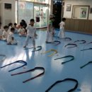 박사태양태권도장 이미지