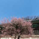 일품해물칼국수 이미지