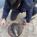 신기낚시 이미지