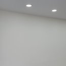 애견멀티샵 이미지