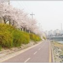 쌍문세탁소 이미지