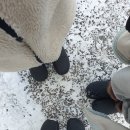 메가엠지씨커피안산 - 안산시 단원구 선부광장북로 36 | 메가엠지씨커피안산