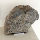 대구가톨릭대학교 역사박물관 이미지