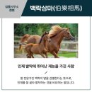 백락 Daum카페