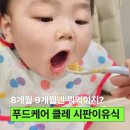 9 | 푸드케어 클레 시판 이유식, 8개월 9개월 중기 후기 이유식 뭐 먹일까?