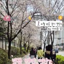 보람샘 | 🌸[토요일 명상] 숲 치유 걷기 명상 후기 by 사띠윤 샘