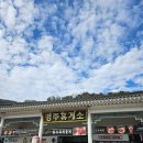 에스케이(SK)경주충전소 | 경주휴게소부산방향 방문후기 아이랑 부산 가는 길 꼭 들러야 할 경부고속도로 휴게소