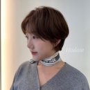 하담
