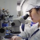 실로암보청기 이미지