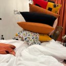 the 개 # | 풀빌라 골드 1베드룸 풀 액세스 후기 +바퀴벌레.. (The GEMS MINING Pool Villas Pattaya) 개물림 사고!!!