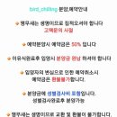 버드칠링