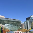 서울광장초등학교 | 책읽는 서울광장, 서울시청 앞 야외도서관 주말 후기