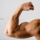 헬스프라자 이미지