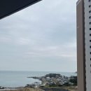 와이컬렉션 by UH FLAT 오시리아 이미지