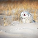 행정사 김봉규 사무소 이미지