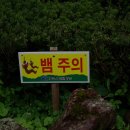 진주식당 이미지