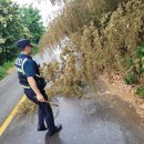 망성파출소 이미지