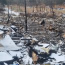 사단법인 지구촌사랑나눔 이미지