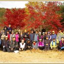 효평동 소공원 이미지