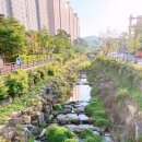 닥터행정사사무소 | 용인 수지 성복동 분위기 좋은 브런치카페 브런치맛집 일비앙코