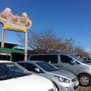 제주시민속오일시장 이미지