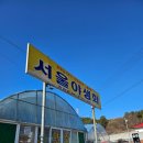 대전 현충원 조화 ::: 구암동 서울야생화