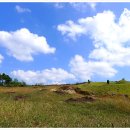 금강솔바람길 이미지