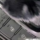 현대패밀리크리닝 이미지