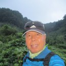 260729 짙은 안개 속에 야생화와 함께 7월말 치악산행 이미지