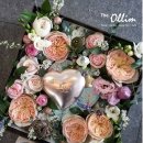 더 올림(The Ollim) 이미지