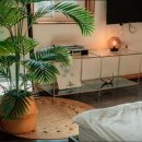 제주독채펜션돌담감성숙소밭담점 이미지