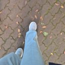 프리월드 | [내돈내산] 프리월드 여성 컴포트 젤리 스니커즈 후기