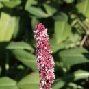 허한의원 이미지