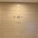 지역문화예술회관 문화가 있는 날 공연산책 화성 예술가의 공연 | 뮤지컬 추천 6월뮤지컬 더 퍼스트 그레잇 쇼 관람 후기 세종문화회관 데이트코스로 추천