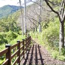 경천 갈매길 이미지