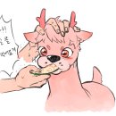 밤비 이미지