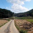 장고항2리 이미지