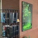 제주공항렌트카 이미지