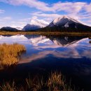 자연-이미지 이미지