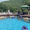 밀양 내마음애풍경 이미지