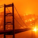 그냥 심심해서요. (6392) 산불에 휩싸인 캘리포니아 이미지