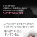 마운트립 이미지