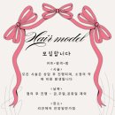 하이.미헤어 이미지