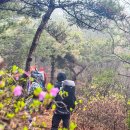 봄비식당 | [백패킹] 봄비내리는 진달래 섬에서 - 2025 BPL mini hike 참가 후기