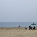 🐚 안산 대부도 방아머리해변 아이와 갯벌체험 조개캐기 후기 🌊