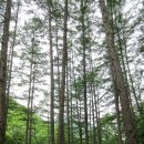 (100대명산탐방 제90차) 강원도의 최북단 대암산을 가다