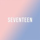 로즈쿼츠 세레니티는 세븐틴 공식색 이미지