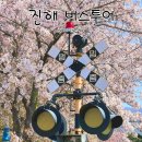 진해벚꽃 버스투어후기